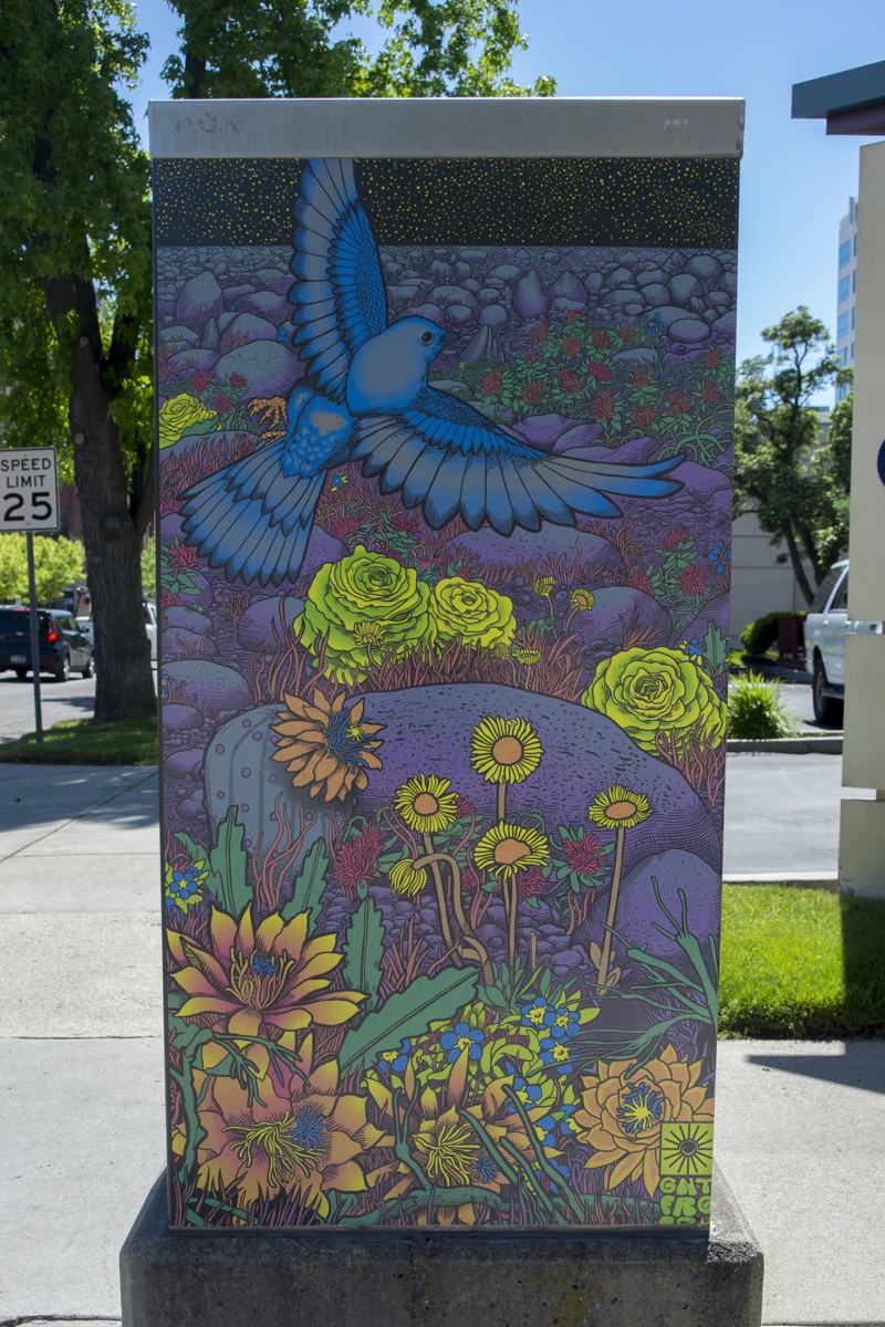 59c4f5df-4bf3-4bda-9911