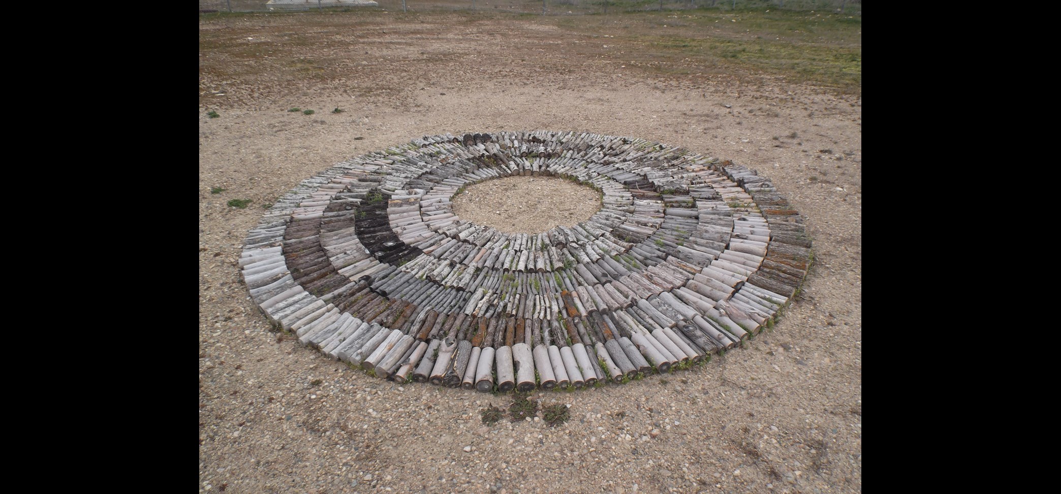 Rings by Kirsten Furlong