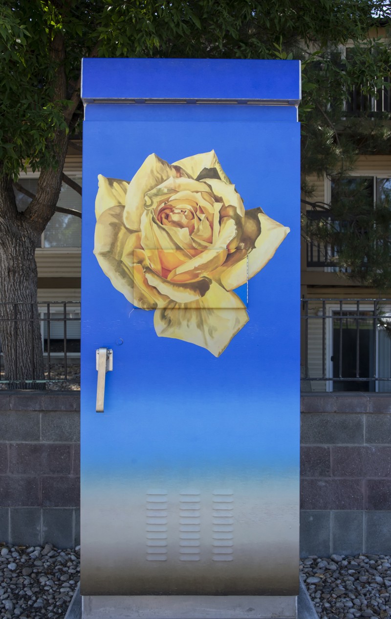 b0994969-43c7-49e1-94de