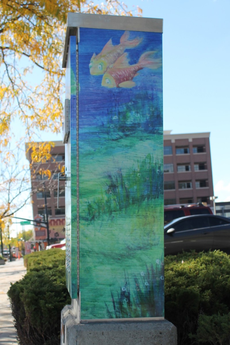 117dc181-52c6-4fef-8cd5