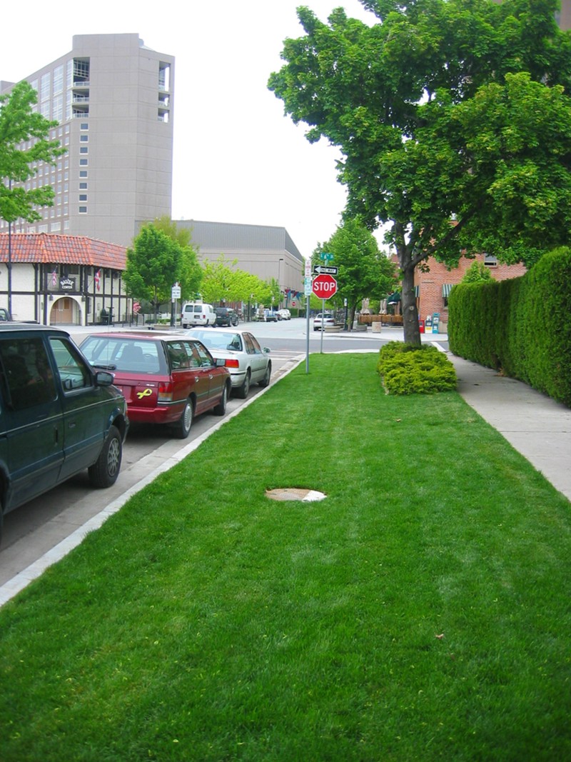 The location of the underground water flume located on Grove Street. The locations construction is finished and covered in grass. 