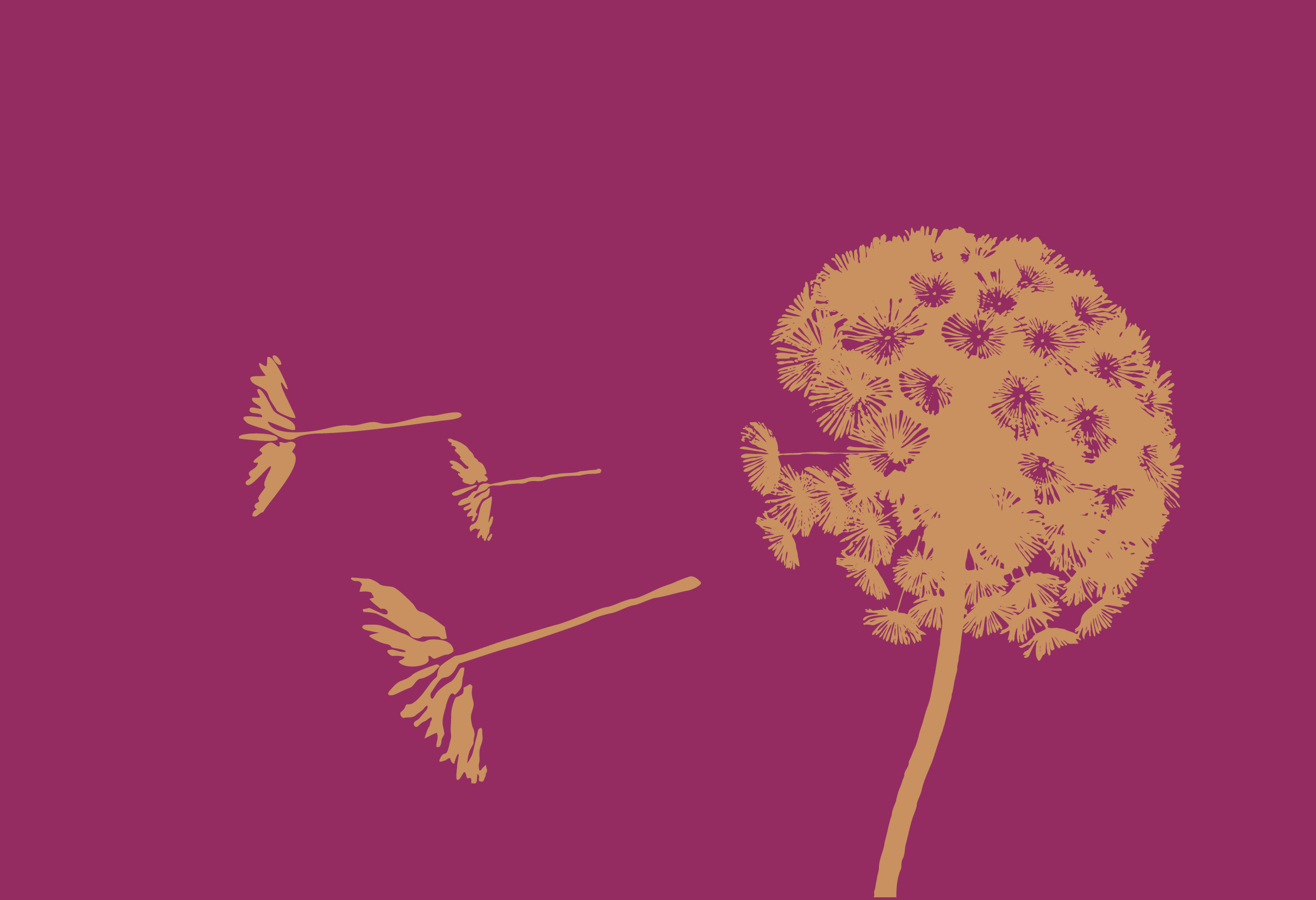 Silhouette of dandelion with a few seeds gently blowing away.