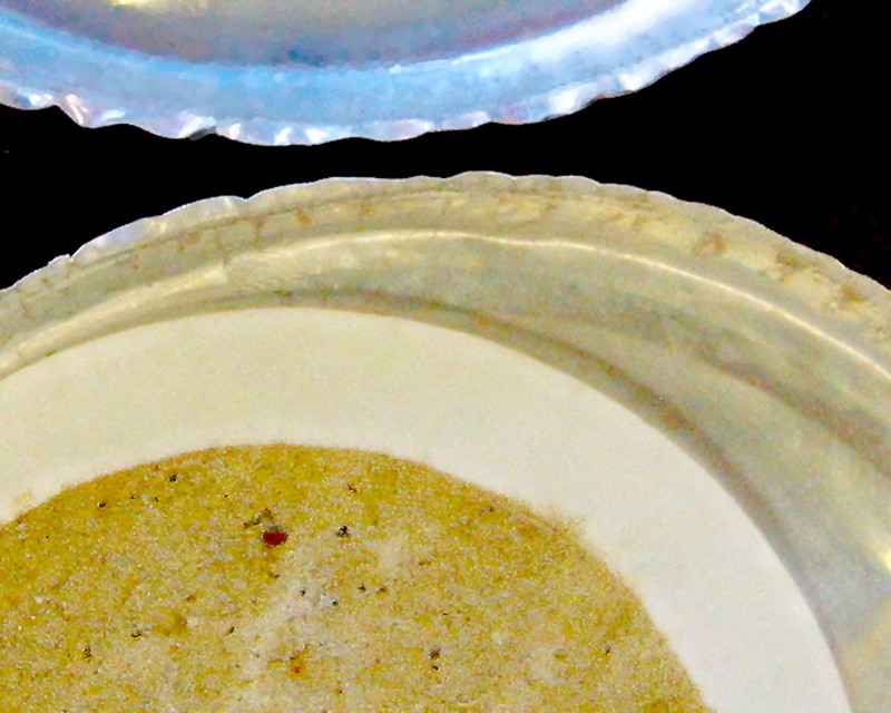 A closeup image of a petri dish or filter. On the surface is brown soil and other particulates.