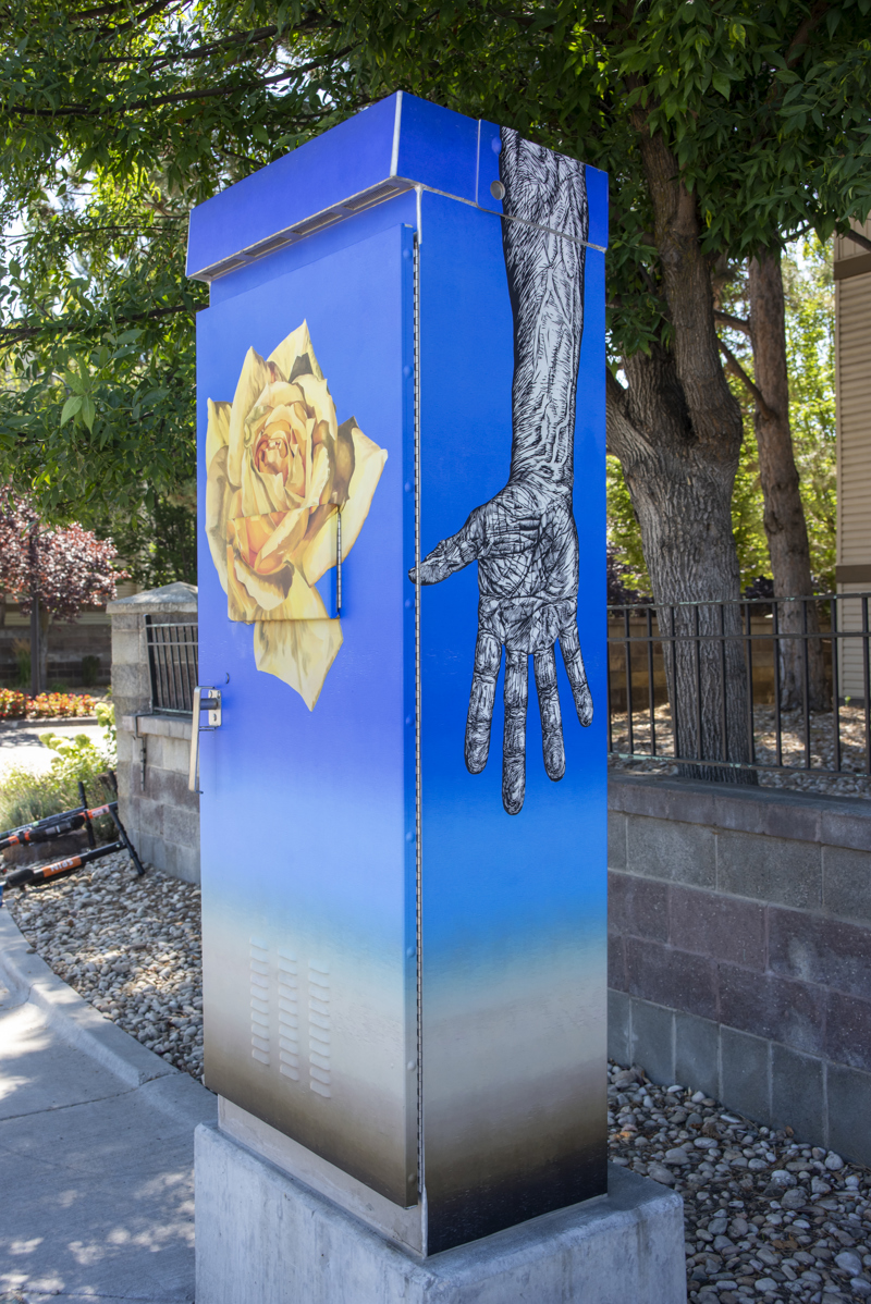 c615c495-cfb3-4fcf-83e2