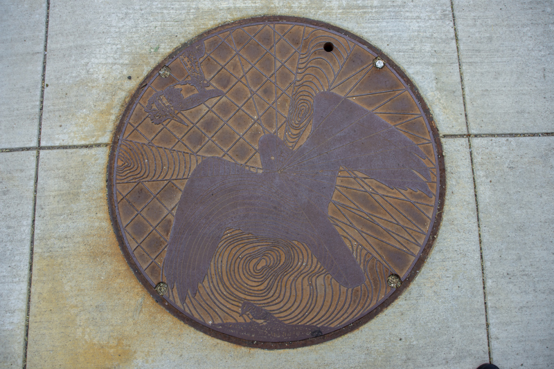 An iron utility (or man hole) cover with a relief sculpture of a silhouetted hawk, a kingfisher, and a small woodpecker. In the background is a composition of straight and curved lines evocative of street and topographical maps, respectively. 
