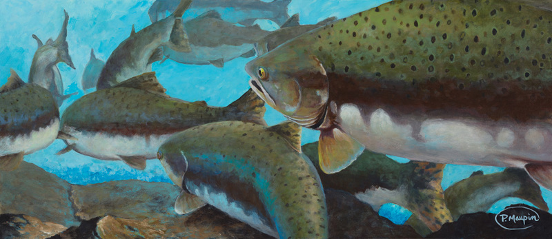 7f4c805d-5da3-4041-b833