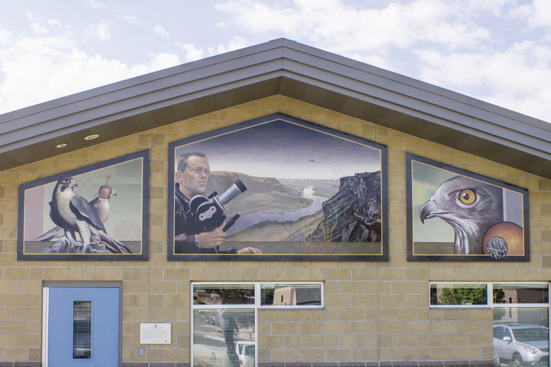 A painted mural made of three separate panels situated beneath the roof of a building. In the first panel are two hawks, one with a falcon's cap over its head. In the second/middle panel is a man holding a cameral overlooking a river canyon. In the third panel is a closeup of a hawk's head.