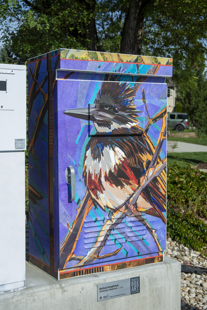 63bb57fb-79e8-4338-beb5