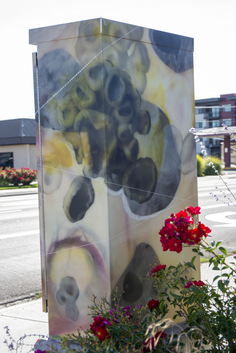 1d852e89-5f5d-49c5-84c3