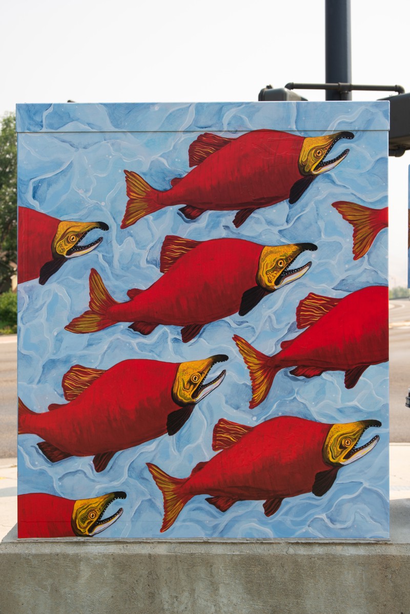 6cf8970c-a63b-43a9-97f4 (1)