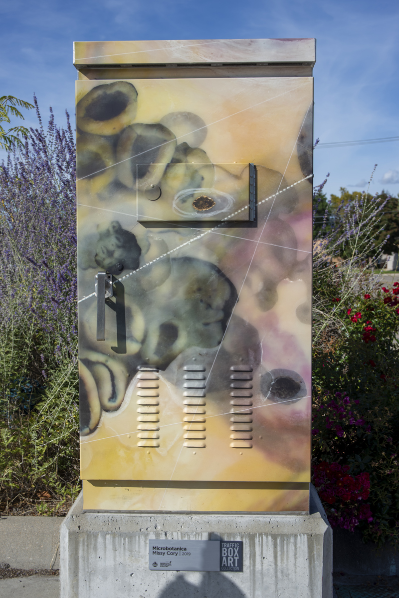 8caeaa2e-34e2-48d2-a841