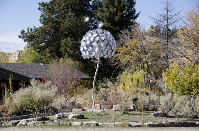 A large stainless steel and aluminum sculpture in the form of a single standing dandelion puff. A few of the dandelion seeds appear to be releasing into the wind with two seeds located on the nearby roof of the Foothills Learning Center.