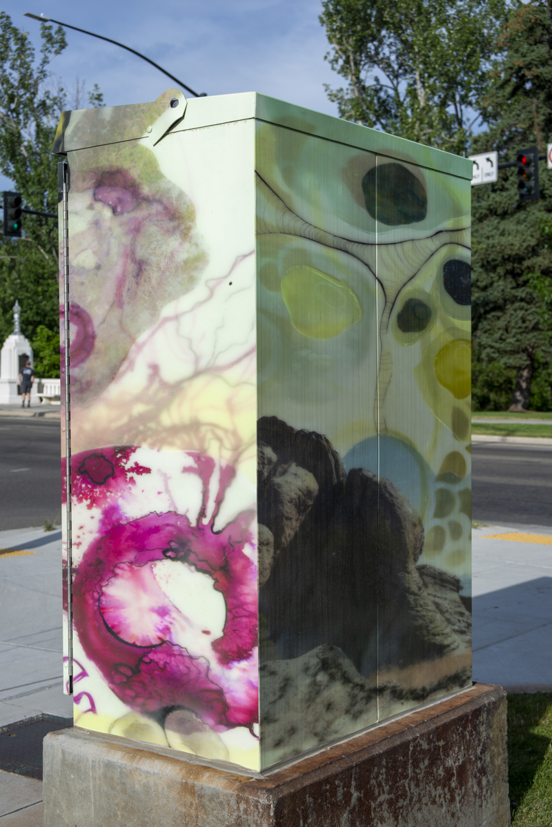 a6bfee46-28a2-47f8-9fec