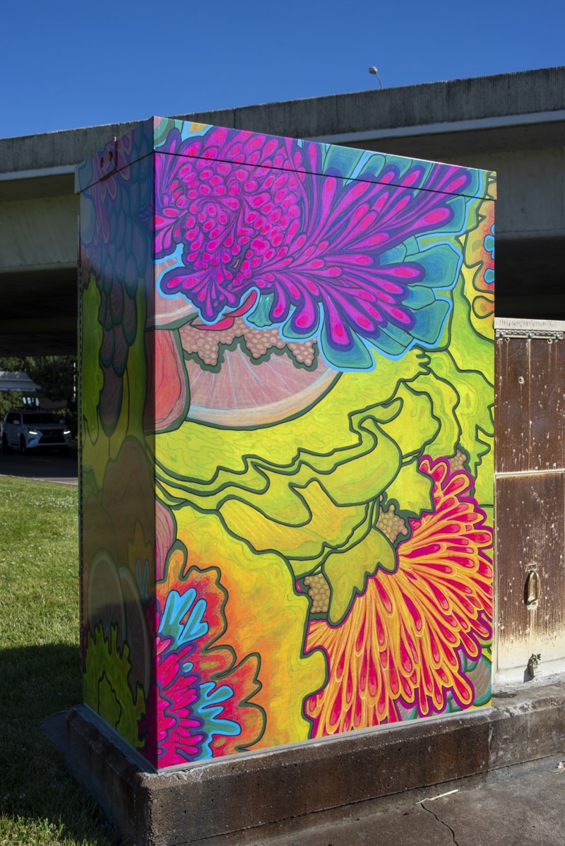 4ae36aa8-db46-4dd2-95fb