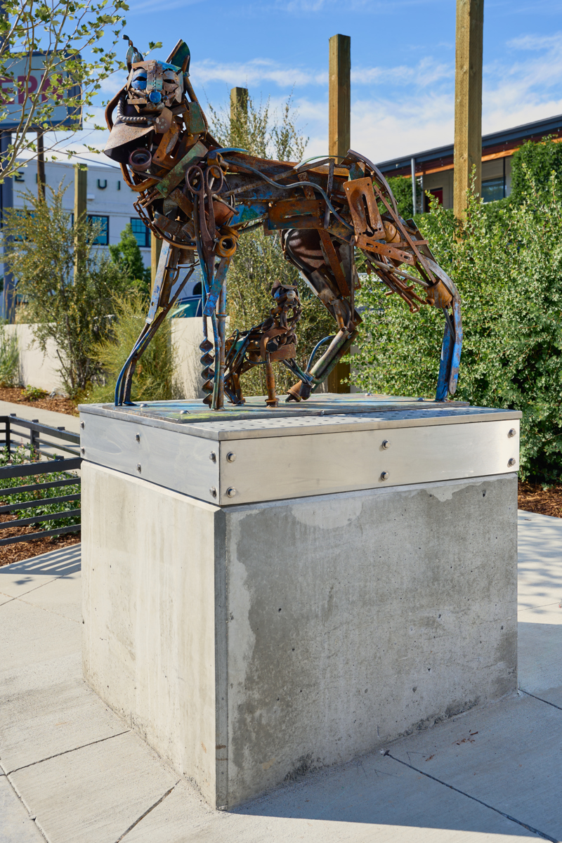 A sculpture of a coyote and her pup made out of found metal objects. The sculpture has been spray painted with areas of blue and orange.