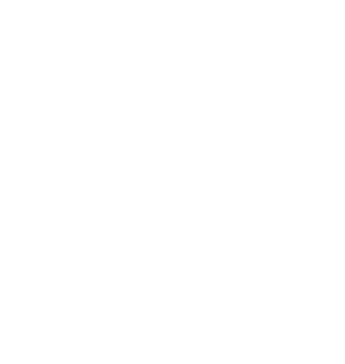 City of Boise Logo