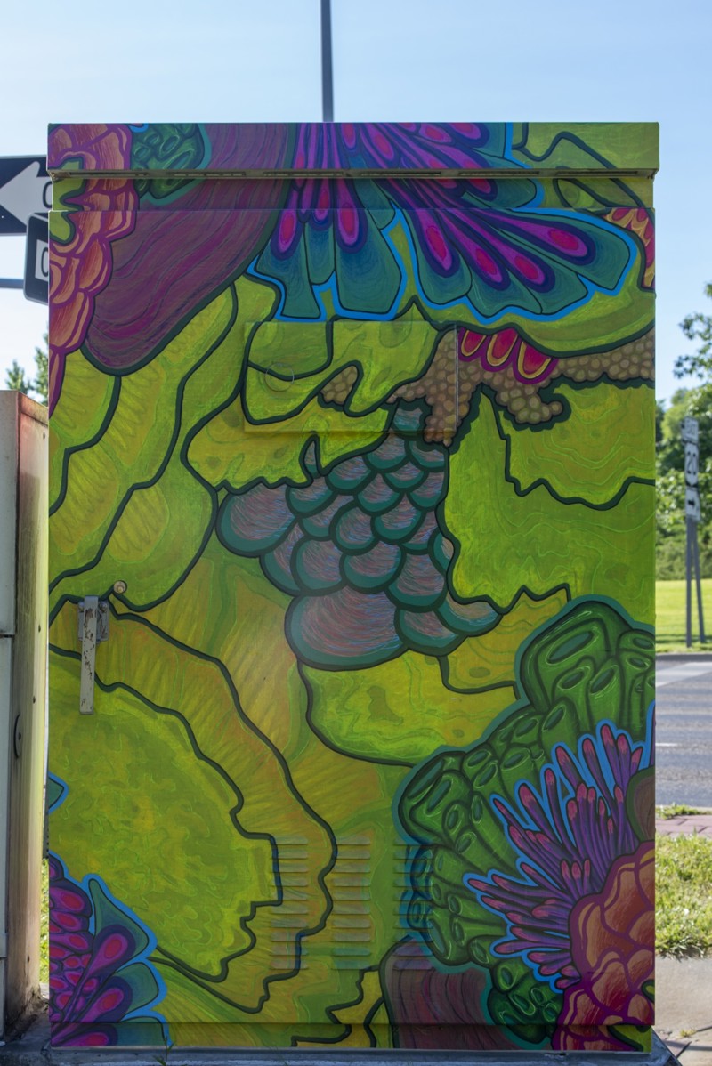 c67913cc-c93c-4acc-9db0