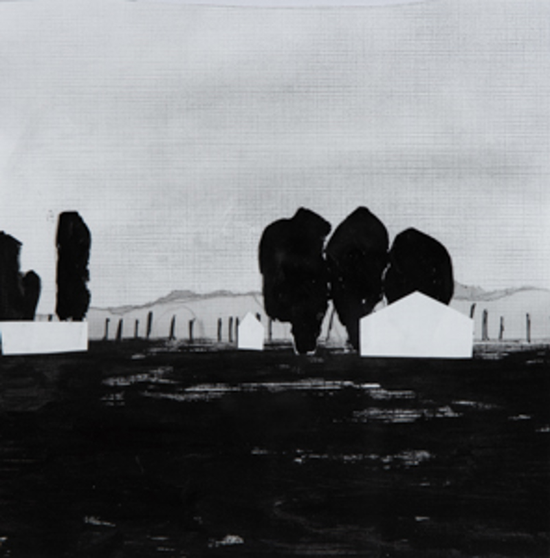 Artist name: Troy Passey