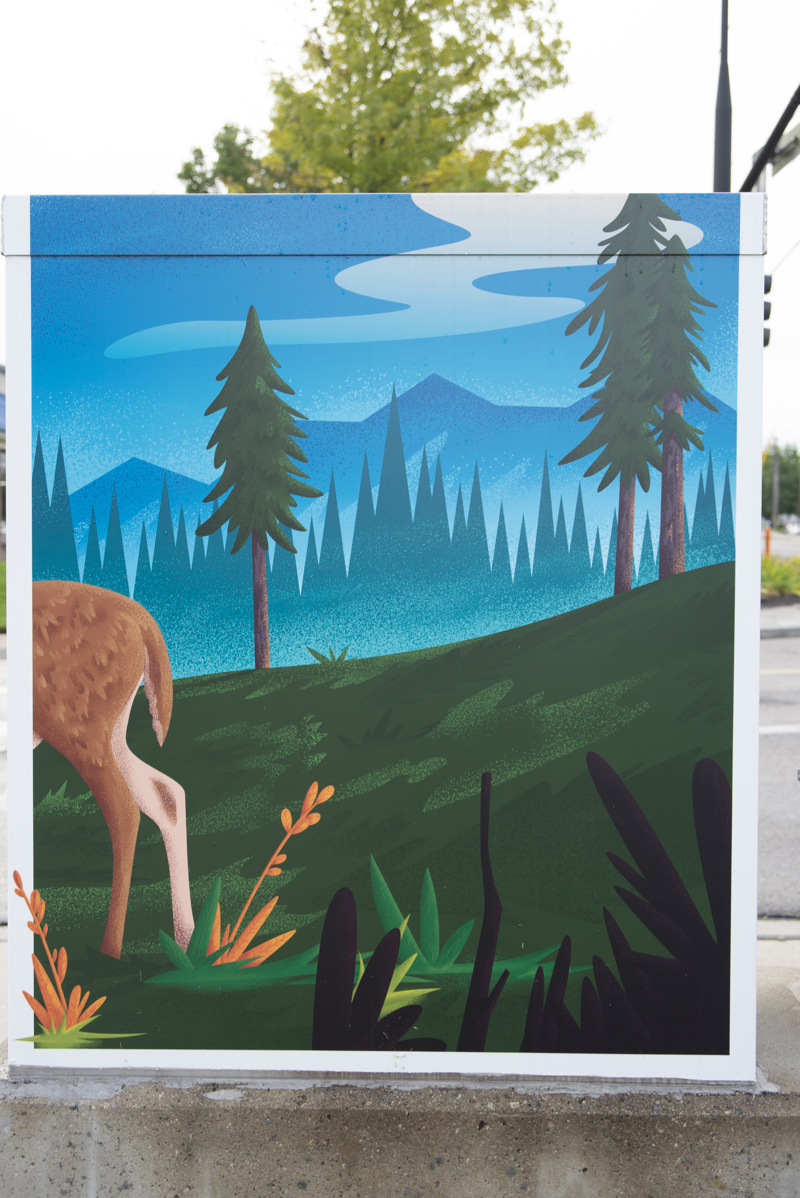 27abc5db-ba69-428f-b069 (1)