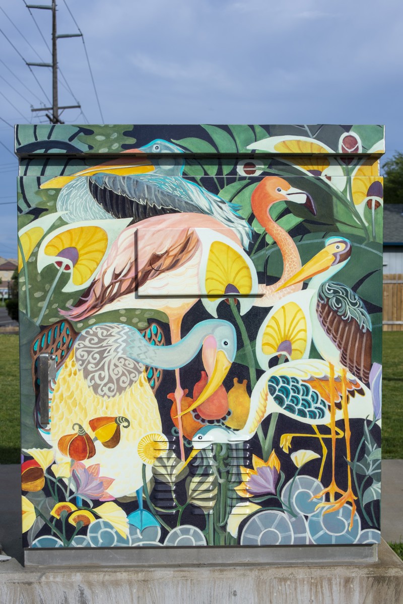 c81bfc42-ad16-4ff5-a516