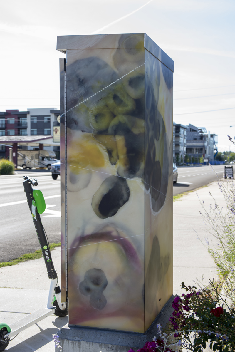 862e89a1-caba-4adf-83fc