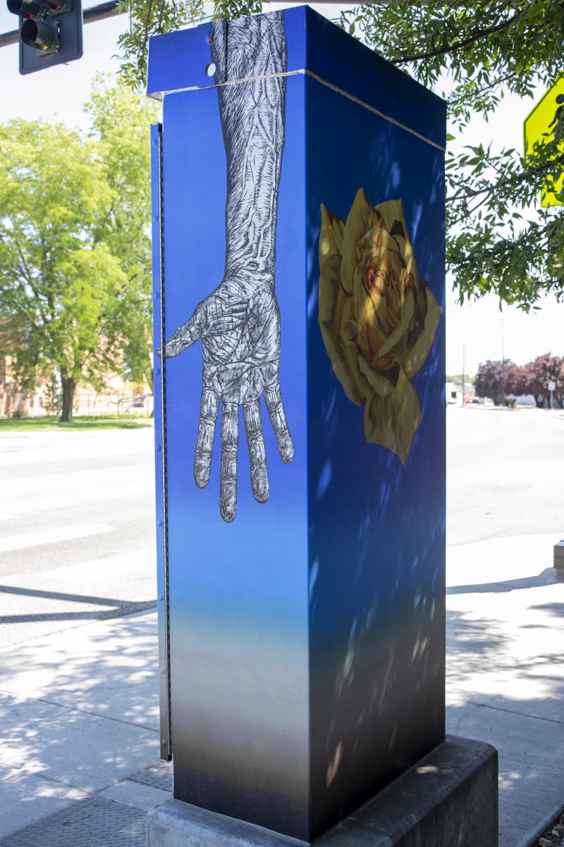 0002e15f-484d-4ea5-9981