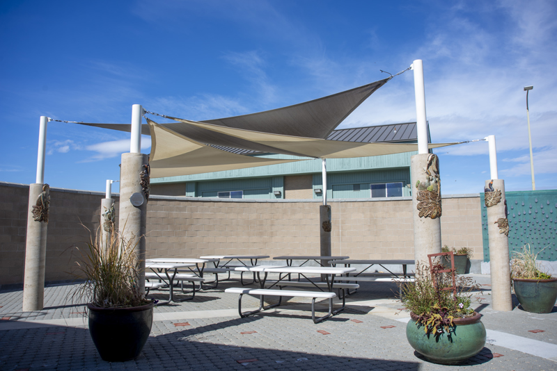 A shade canvas structure made up of 6 cement columns, each adorned with ceramic mosaic relief sculptures of nesting double-crested cormorants and great blue herons.