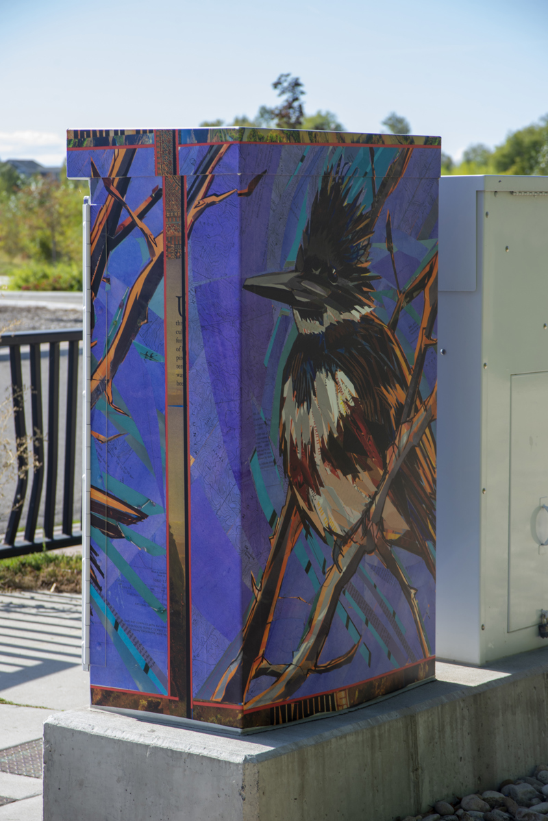 16b474b2-88e4-4d5d-b721