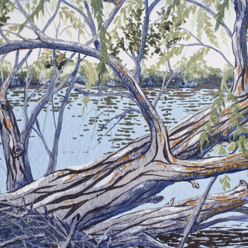 aa1e7712-5a17-43ce-9bf4