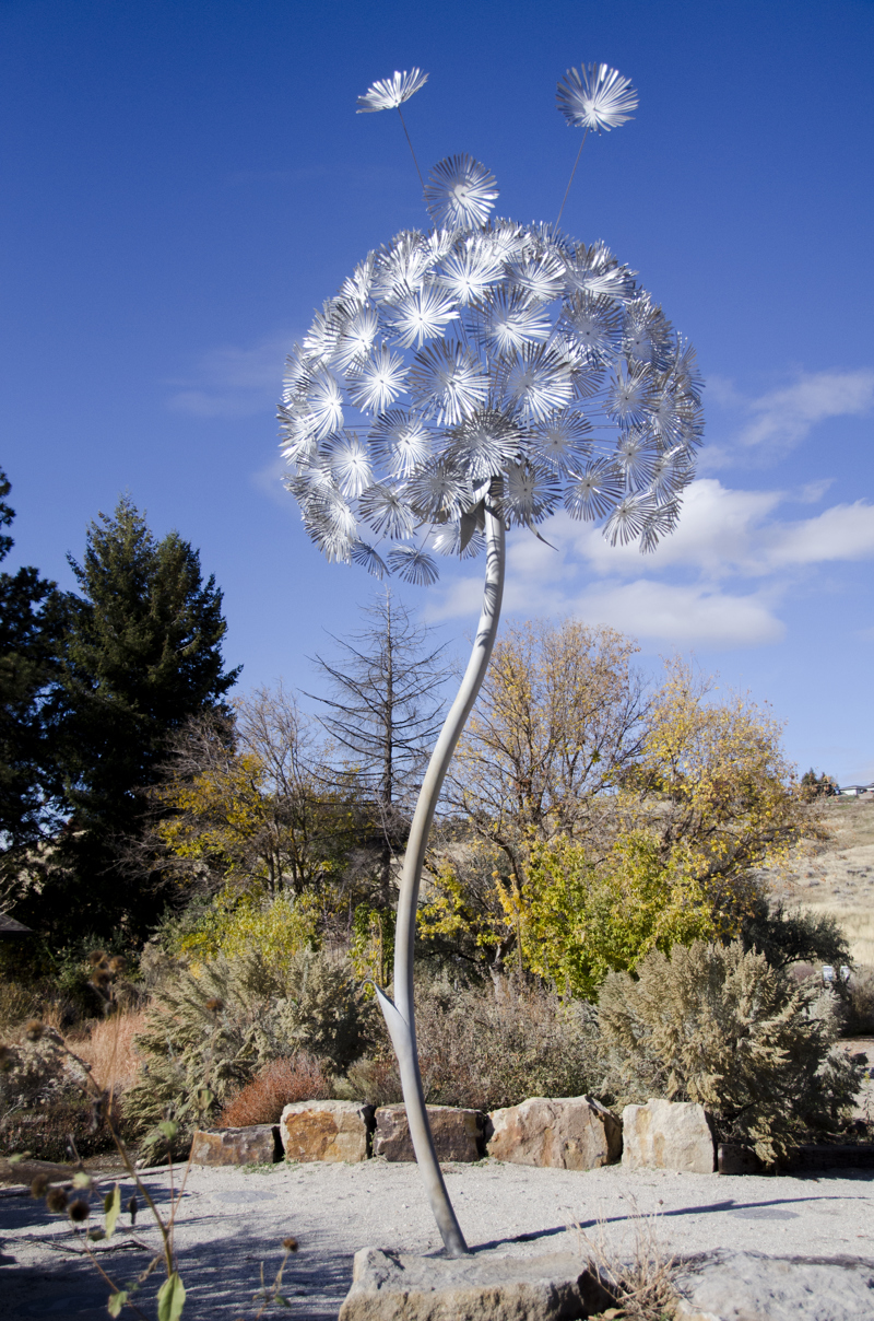 A large stainless steel and aluminum sculpture in the form of a single standing dandelion puff. A few of the dandelion seeds appear to be releasing into the wind with two seeds located on the nearby roof of the Foothills Learning Center.