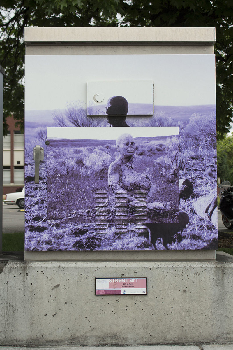 life-in-flux_matt-laurence-5.jpg