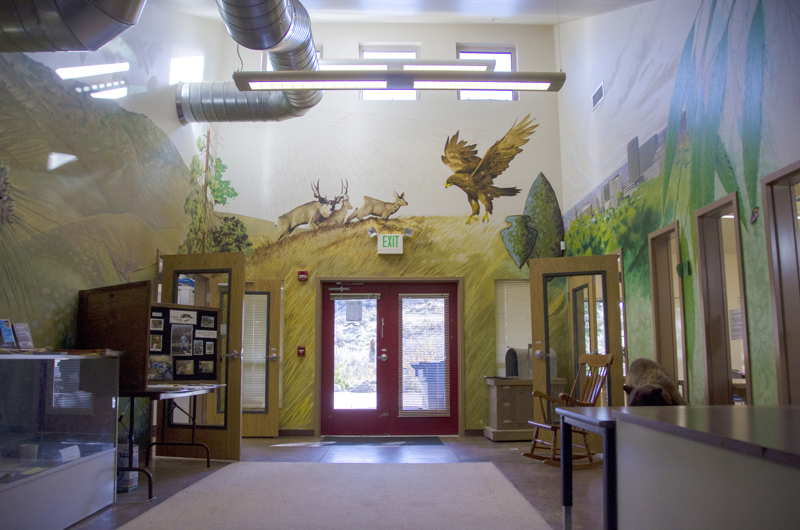 The main office of the Boise Foothills Learning Center. On the walls is painted a mural depicting the landscape and wildlife in the Boise Foothills including deer, a mountain lion, and a hawk.