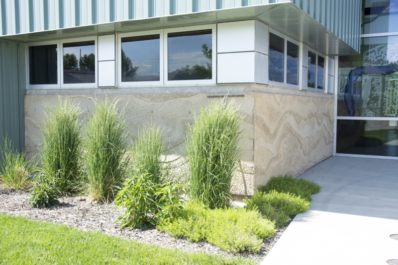 The exterior side of the Boise WaterShed building. Along the bottom four feet of the building is a cement textural installation that resembles a birds-eye view or map of a river and its previous shorelines that have shifted over time.