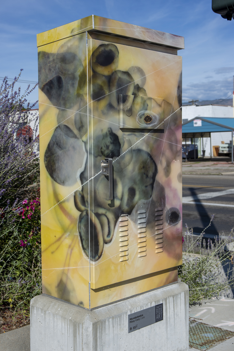 360e58c5-050f-4d70-b0d2