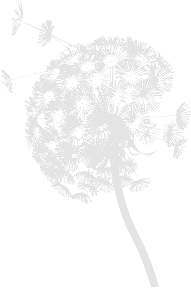 background graphic (Dandelion Page Graphic)