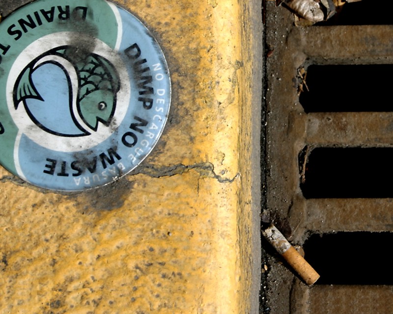 A closeup of a storm grate with a cigarette butt sitting on its edge. On an adjacent yellow curb is a medallion sticker with a fish and text that reads: "DUMP NO WASTE."