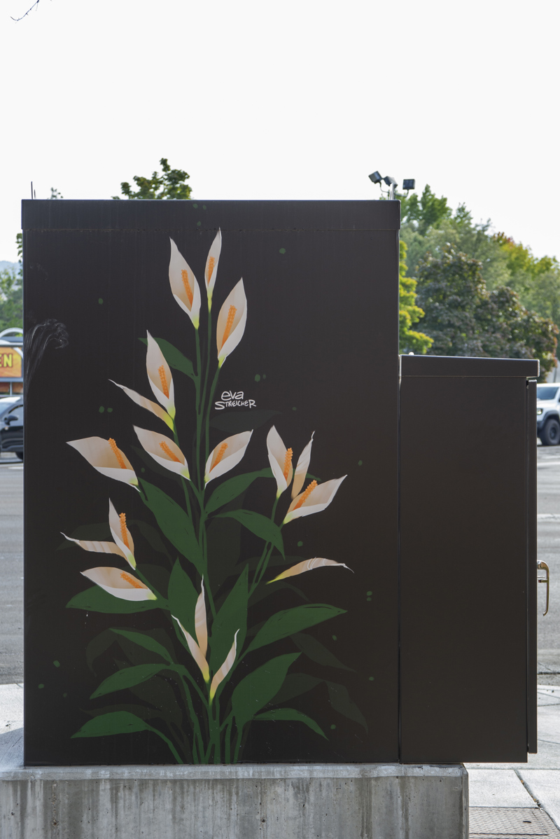 4620315e-ab6e-4ecb-bf91 (1)