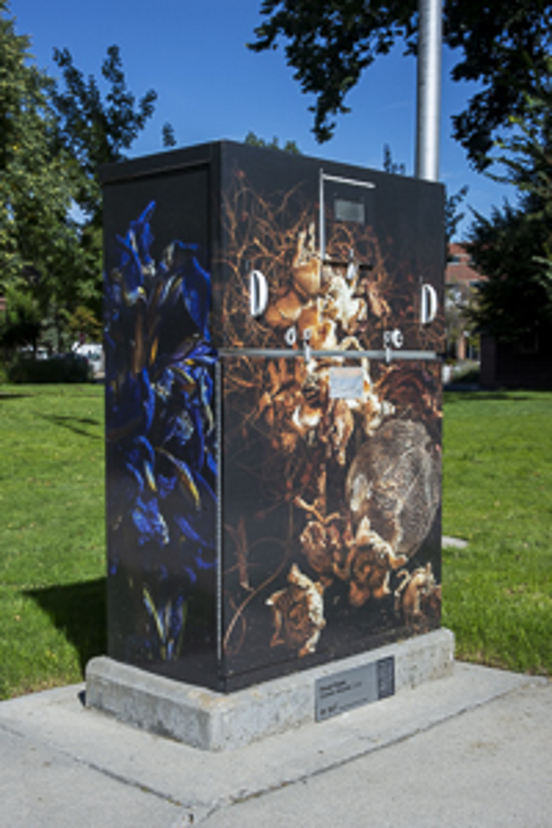 de42891d-bb43-42f2-a84d