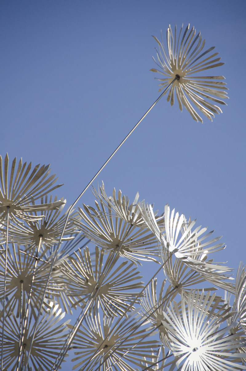 A closeup image of a large stainless steel and aluminum sculpture in the form of a single standing dandelion puff. One of the dandelion seeds appears to be lifting away in the wind.